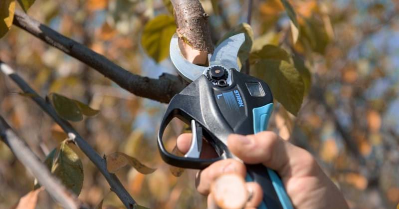 Titelbild2 Titelbild2