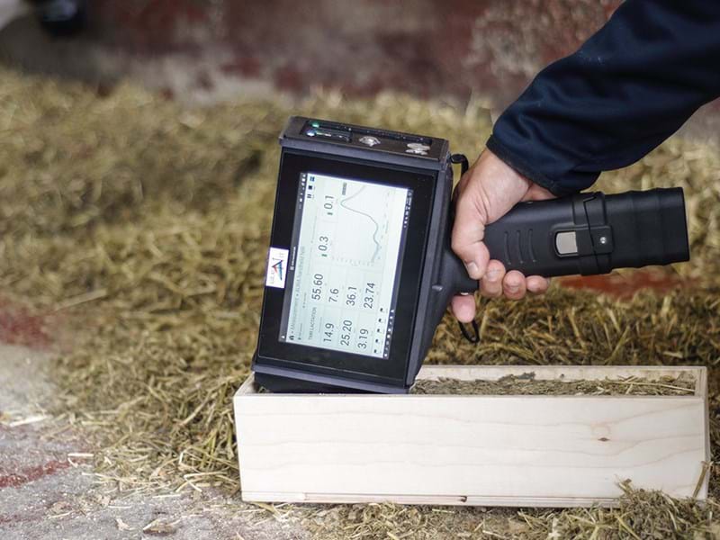 KING AVANT LION (46) KING AVANT LION (46)