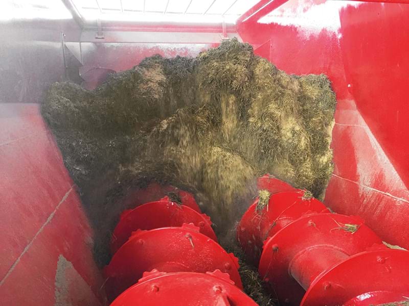 KING AVANT LION (41) KING AVANT LION (41)