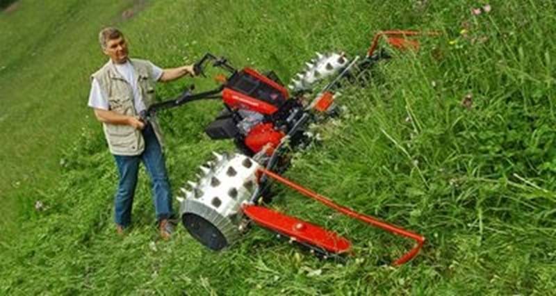 Bergtalent Bergtalent