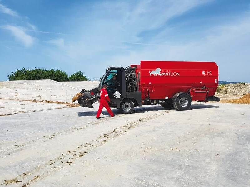 KING AVANT LION (3) KING AVANT LION (3)