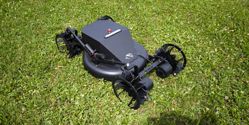 Grator Lowrider Im Gras (1)