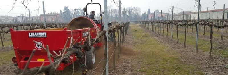 Titelbild2 Titelbild2