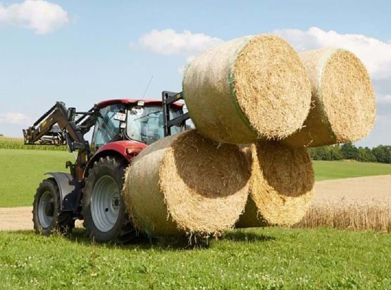 Screenshot 2023 09 21 134227 (1)