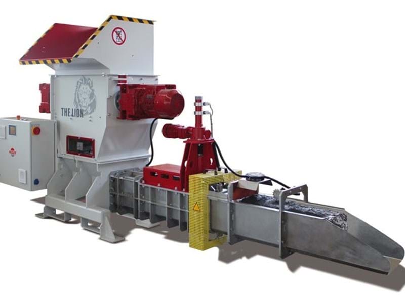 The Lion Titel The Lion Titel