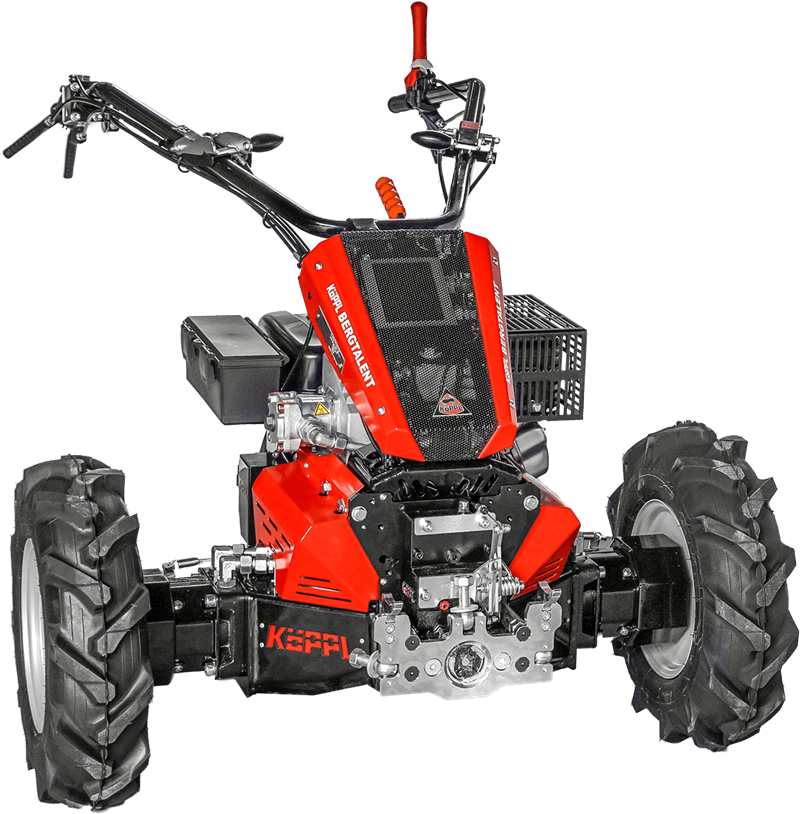 Bergtalent (1) Bergtalent (1)